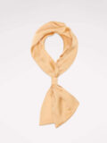 Scarf with ring