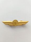 Wings badge